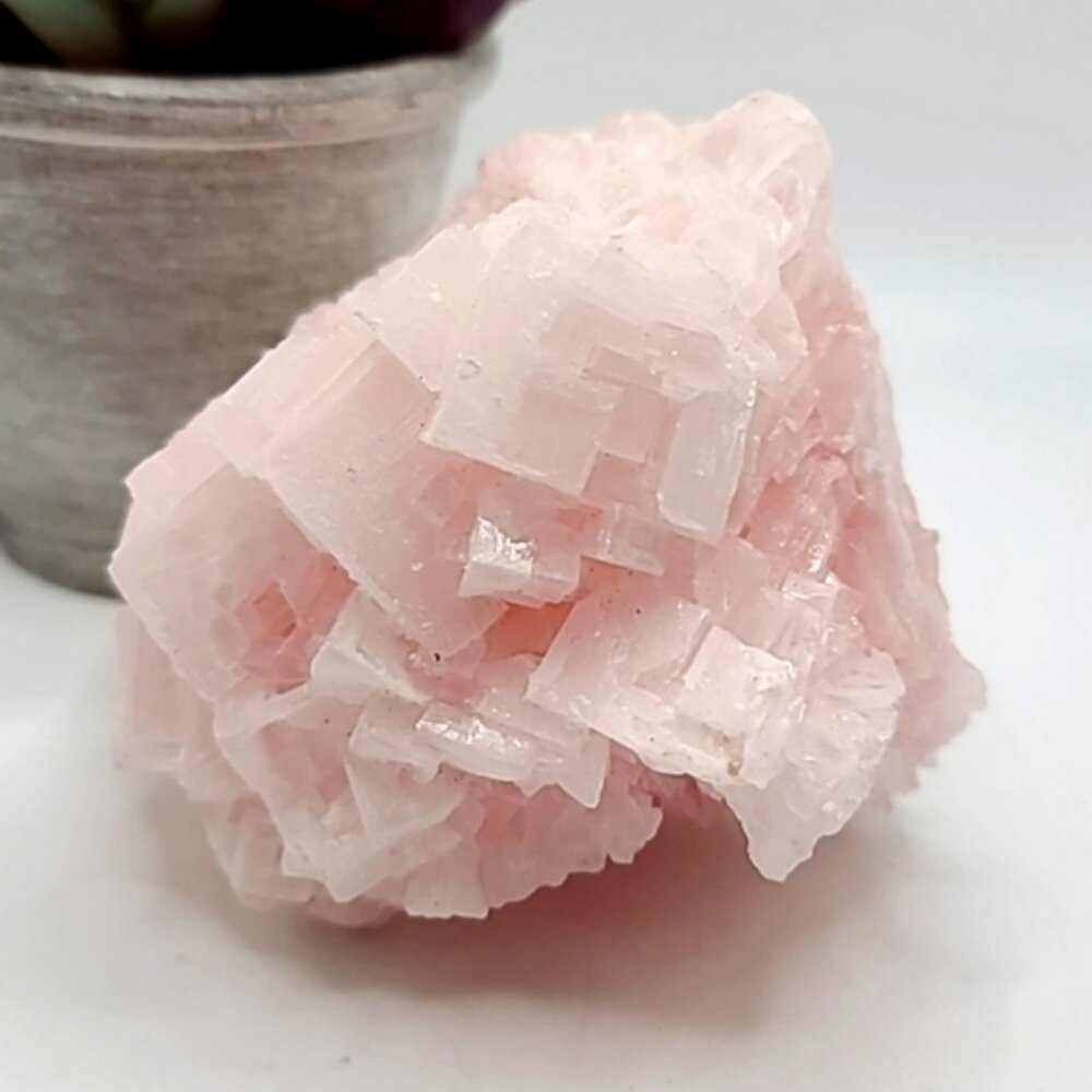 CLEARANCE Large Cotton Candy California Pink Halite Crystal Cluster H - Picture 4 of 5
